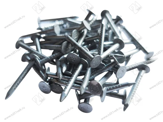 Гвоздь 20x2,0 мм, толевый, 1кор-5 кг 1