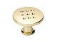 FH.K704.000.GP Ручка-кнопка, золото <120/600>