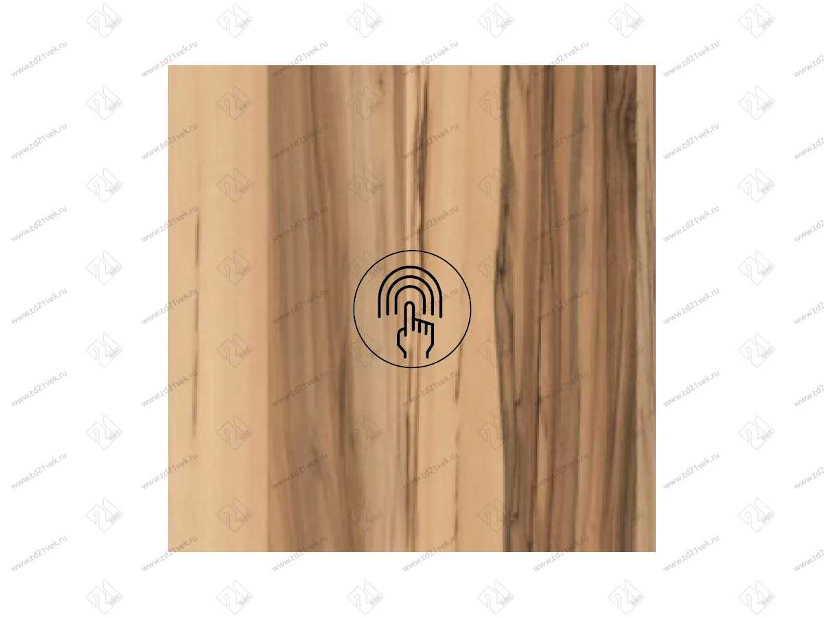 08.800.00.301 Выключатель емкостной на касание CSS-2, скрытого монтажа, 12В, черный 2