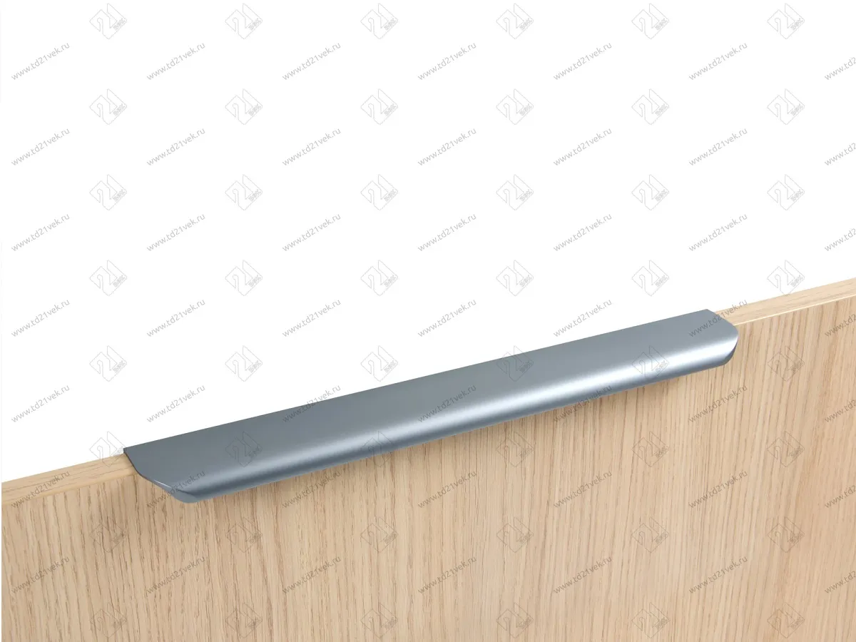 RT110GR.1/224/300 Ручка торцевая 224 мм серый <50> 1