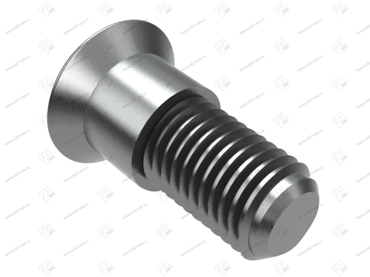 103-08-06-403 Винт Mesan для полкодер-ля Raffix(без эксц) d6х9мм (метрический) цинк <1000/5000> 1