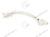 UZ-ROYAL3-96-10-03 Ручка GTV ROYAL3 C=96мм, белый/золото <25> превью 1